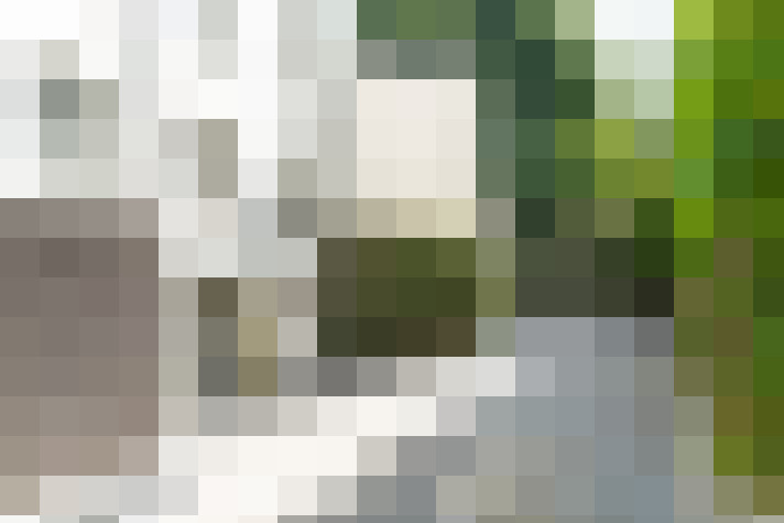 Image 25