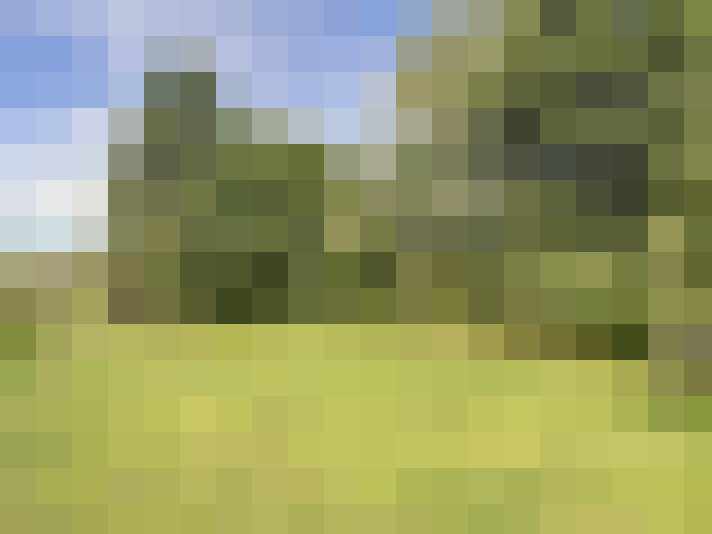 Image 16