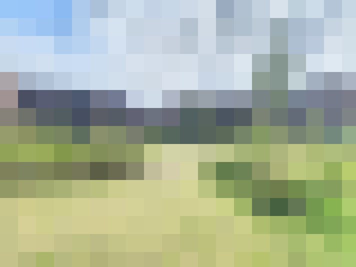 Image 14