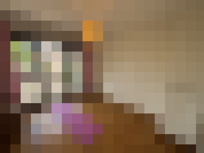 Image 28