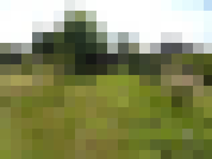 Image 26
