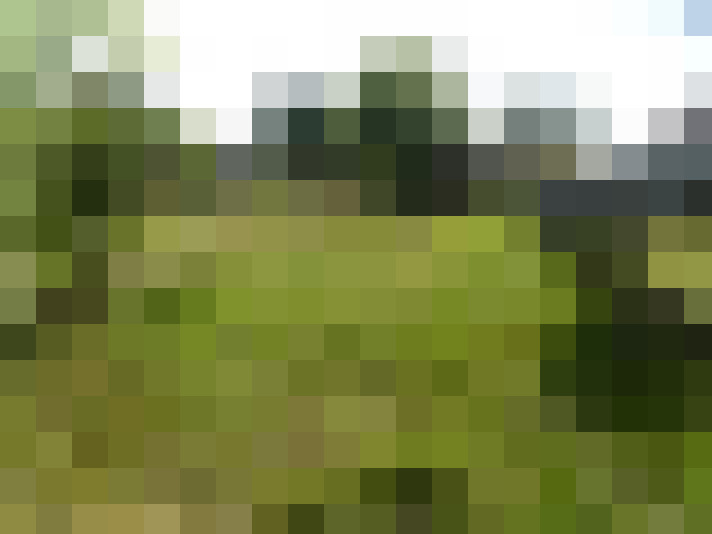 Image 25