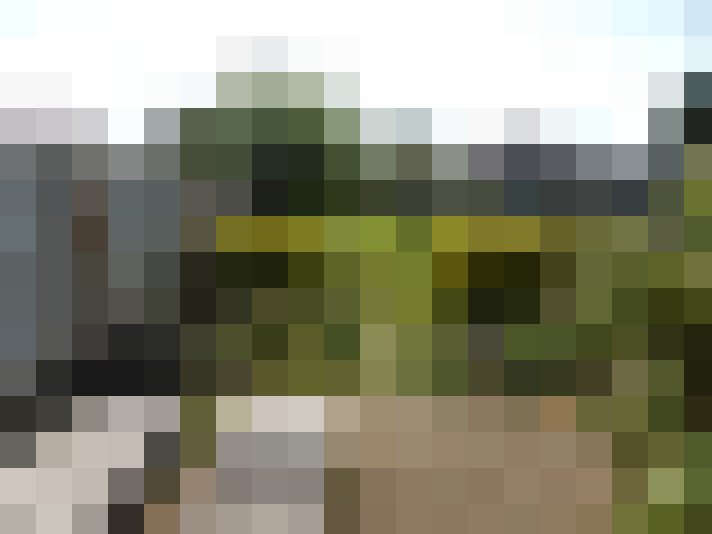 Image 23
