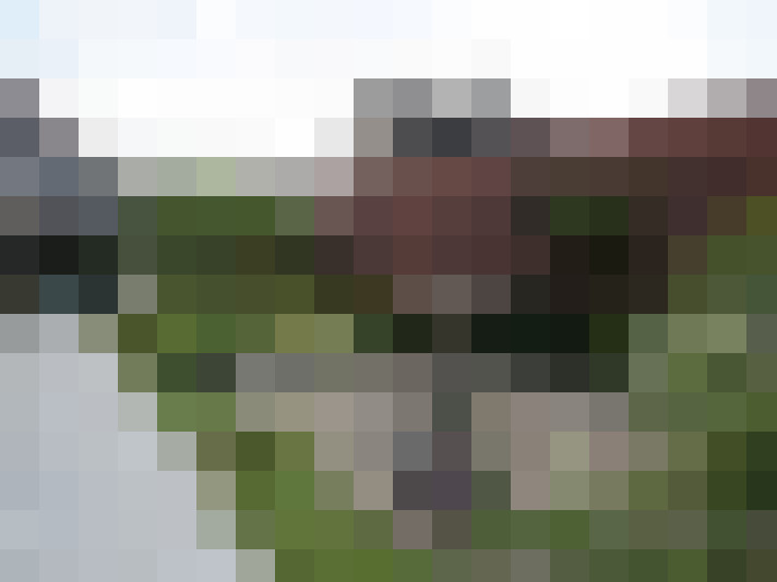 Image 17