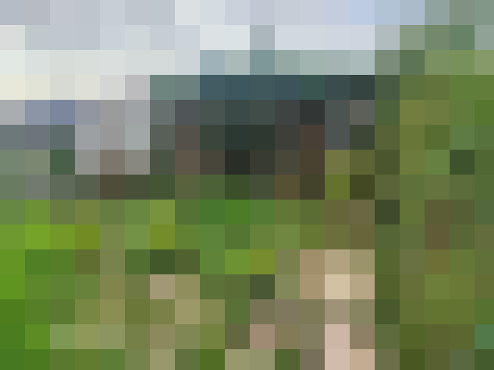 Image 24
