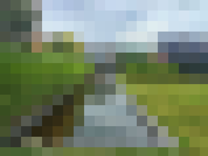Image 23