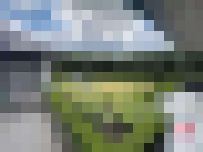 Image 22