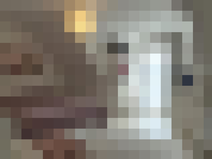 Image 20