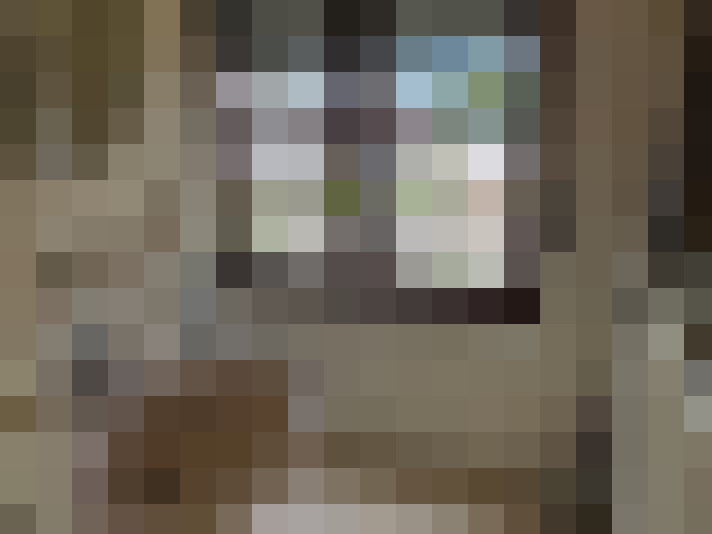 Image 15