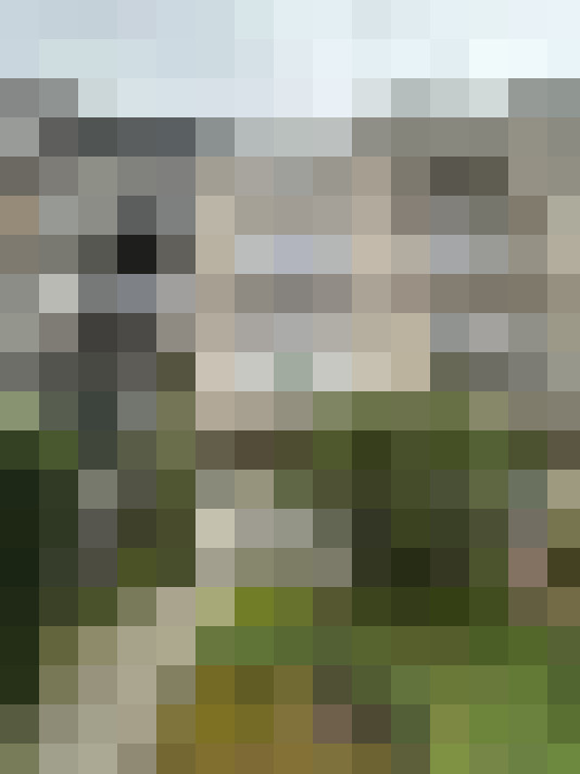 Image 14