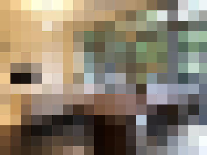 Image 31
