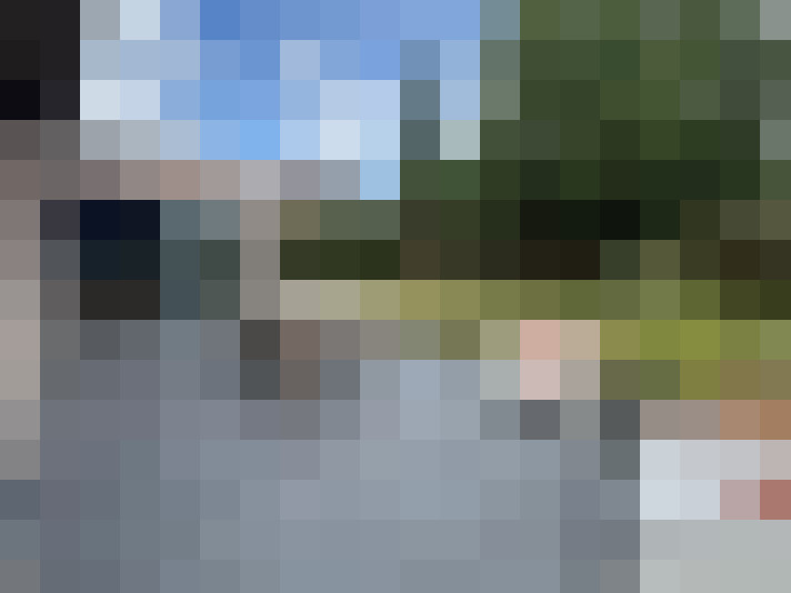 Image 16