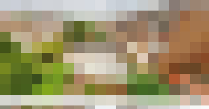 Image 22
