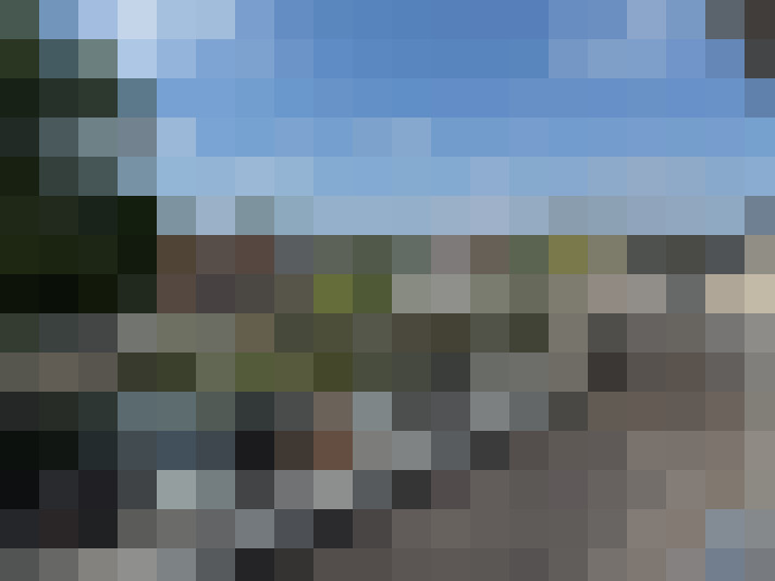 Image 14