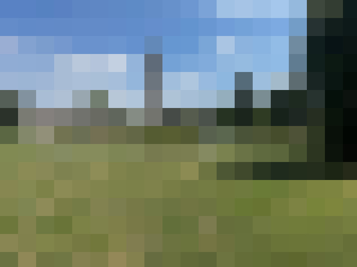 Image 16