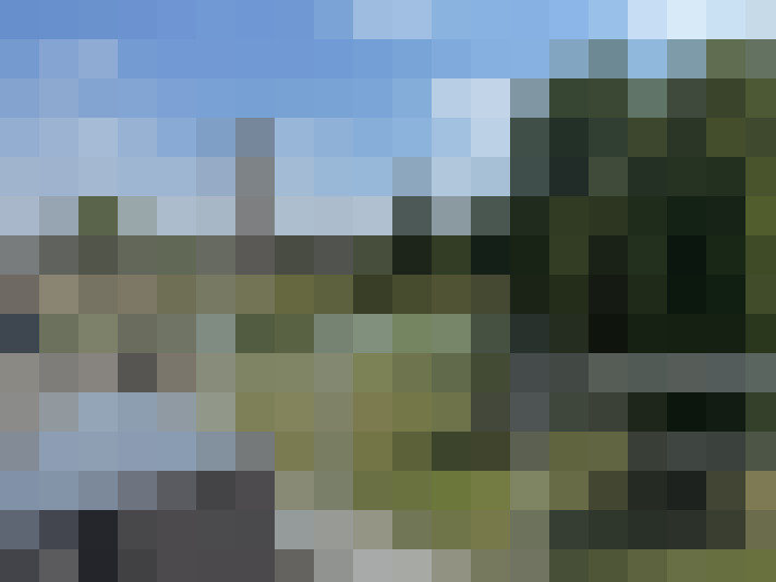 Image 15