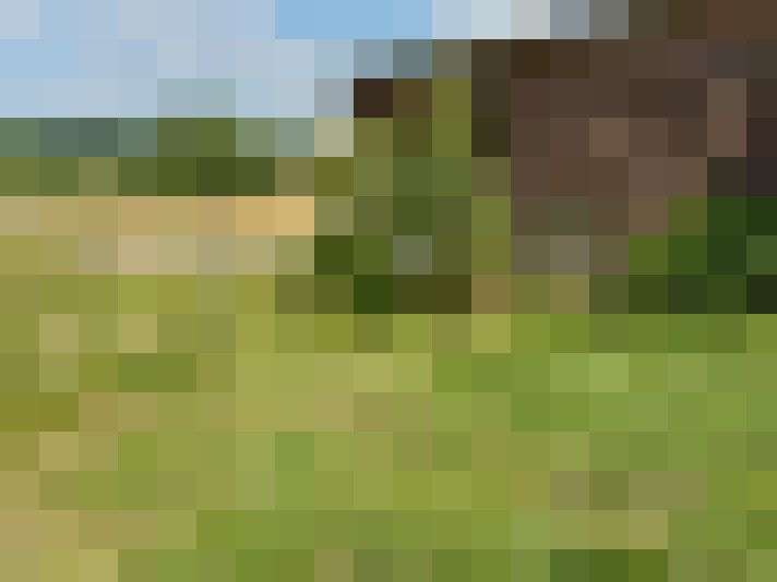 Image 23