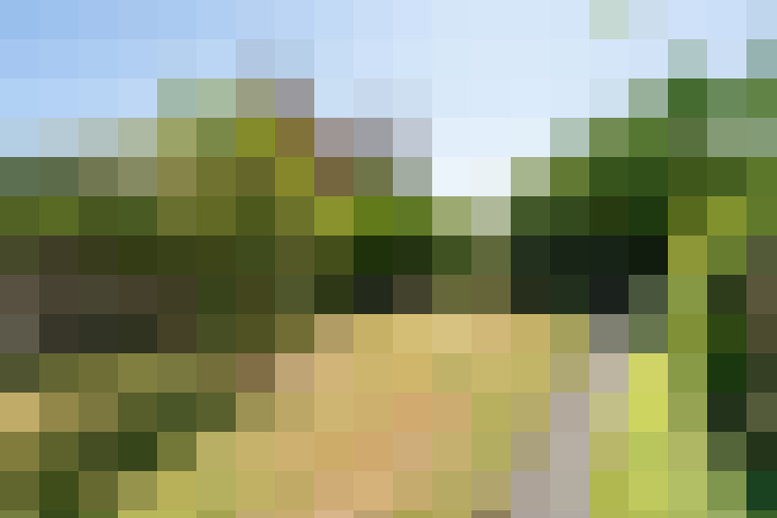 Image 20