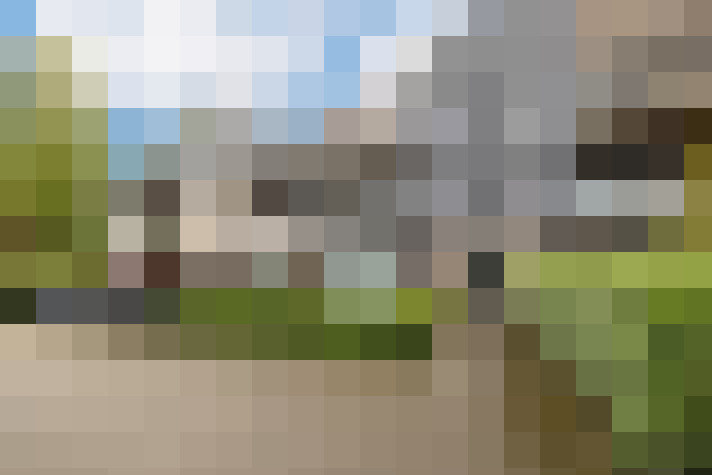 Image 22