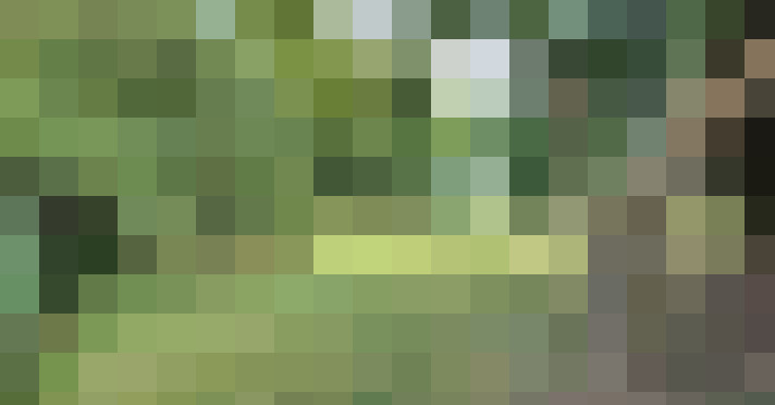 Image 25