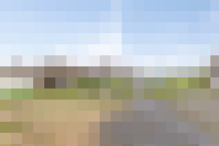 Image 20