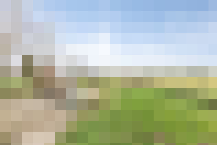 Image 22