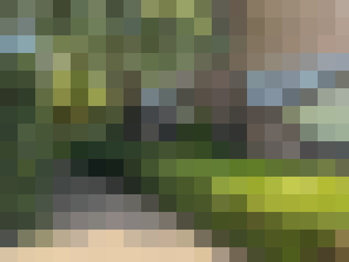 Image 25
