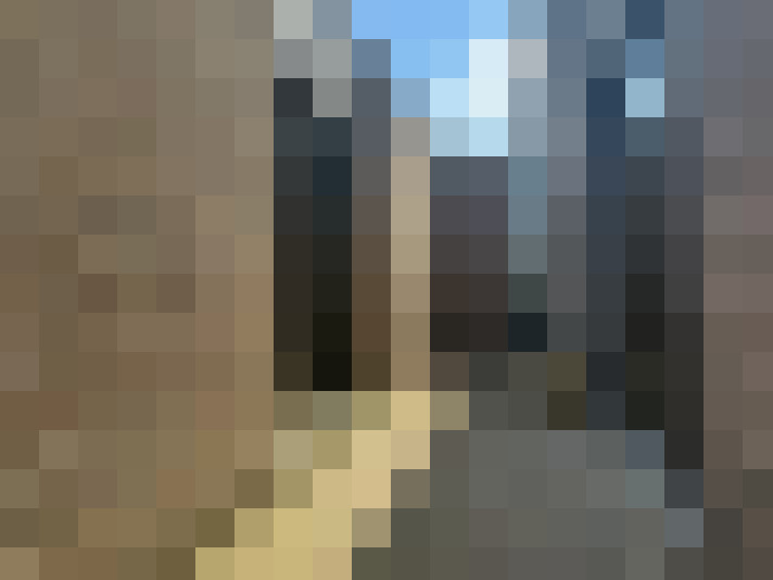 Image 23