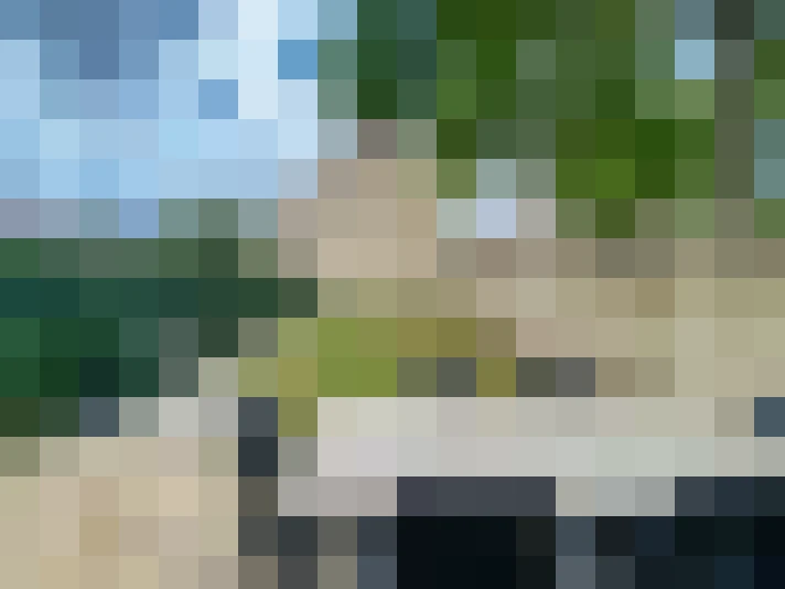 Image 22