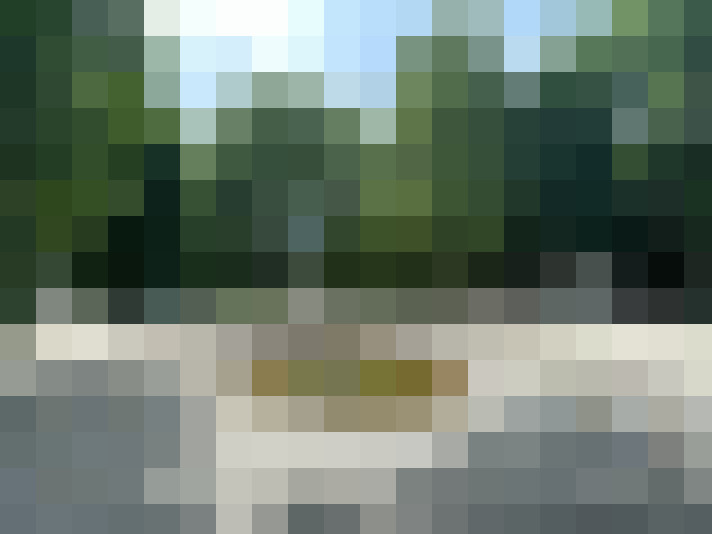 Image 17