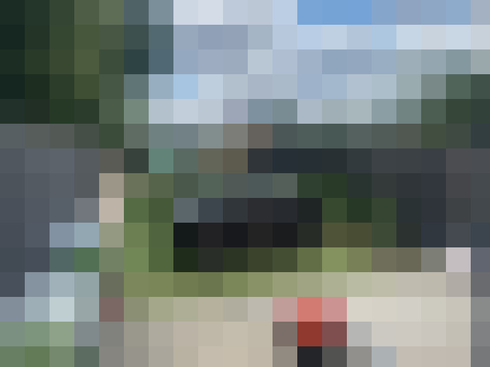 Image 24