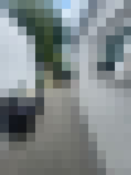 Image 22