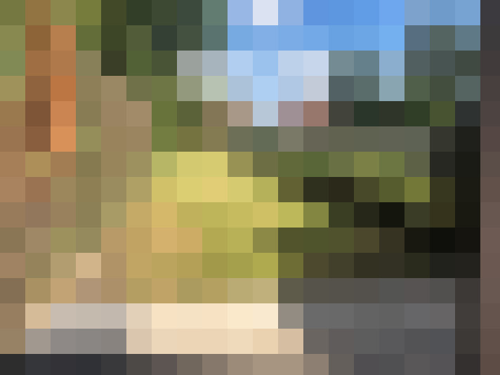 Image 21