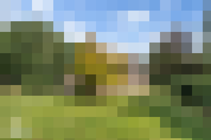 Image 17