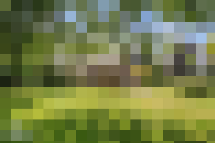 Image 14