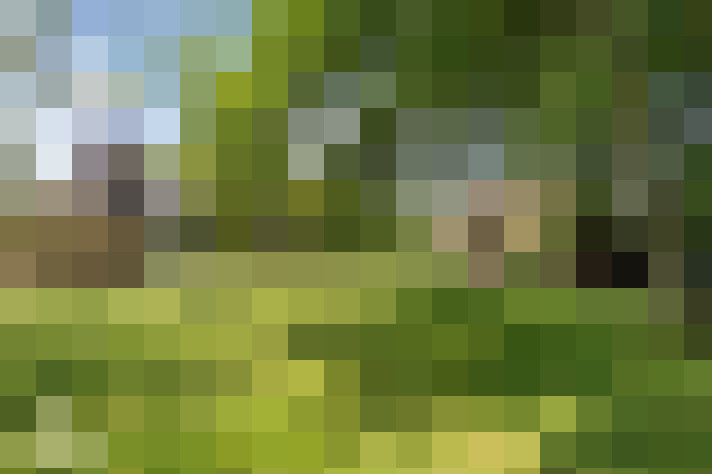 Image 18