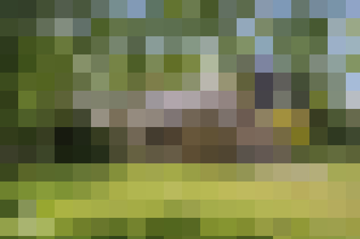 Image 24