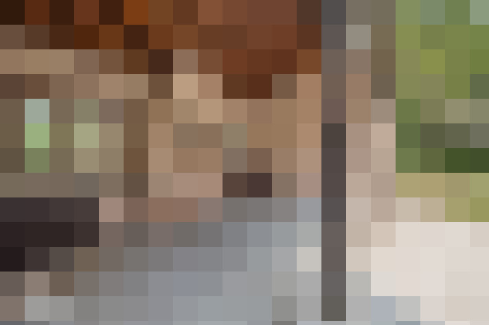 Image 20