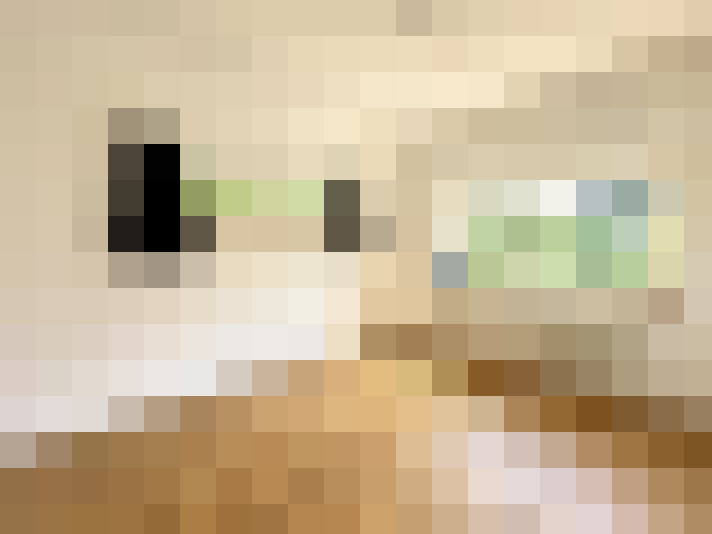 Image 20