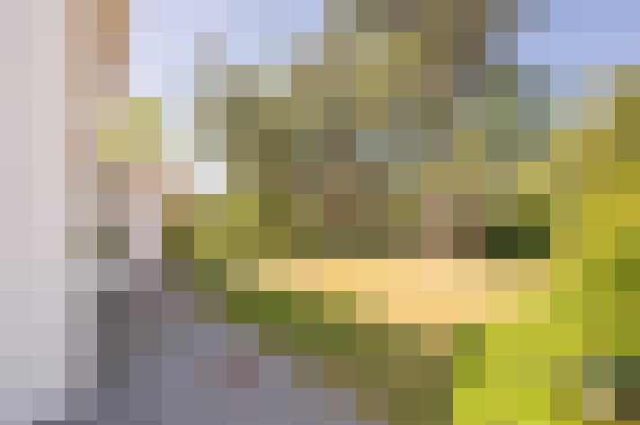 Image 26