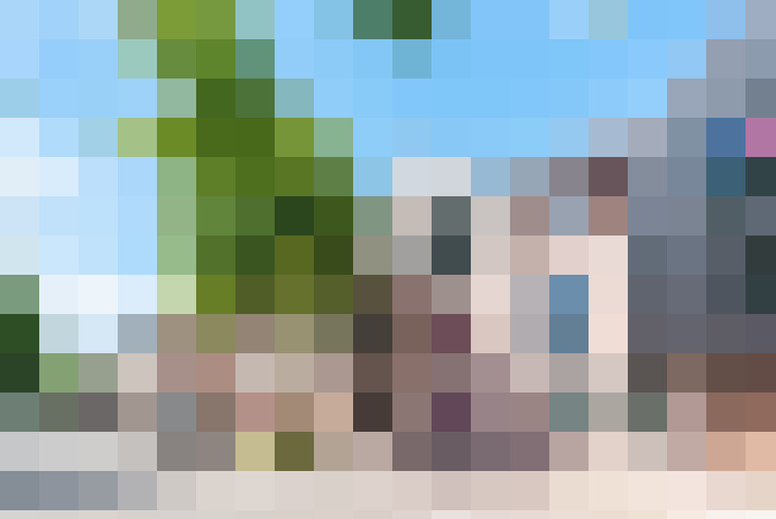 Image 17