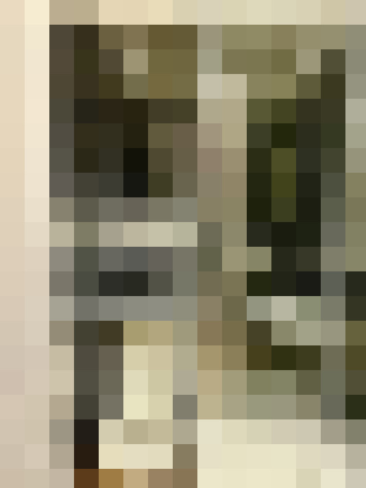 Image 20
