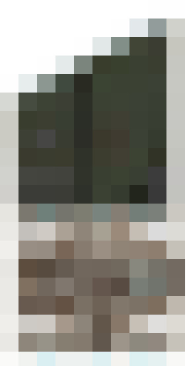 Image 31