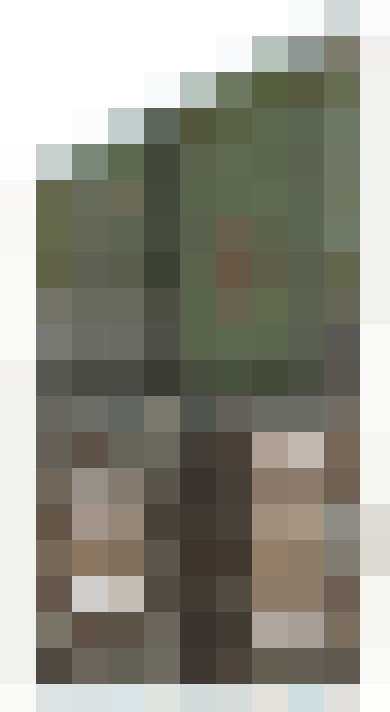 Image 29