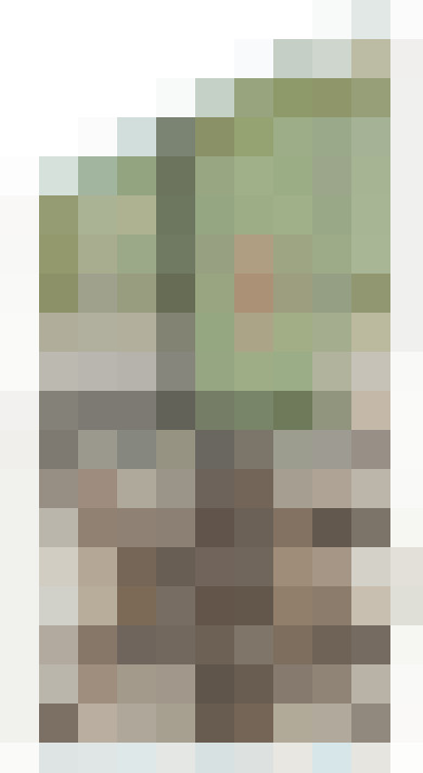 Image 28