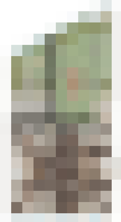 Image 26