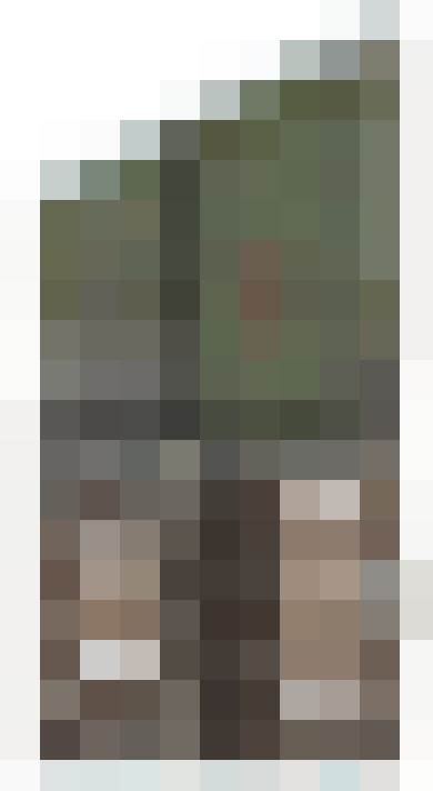 Image 31