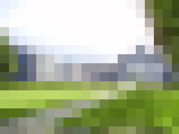 Image 13