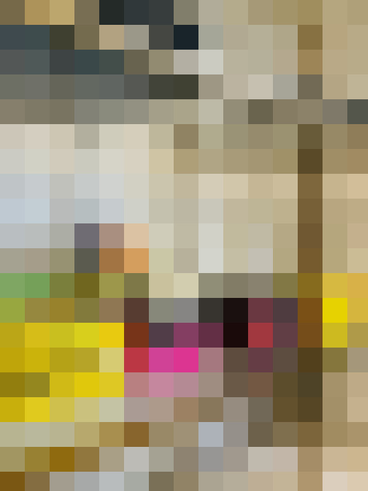 Image 31