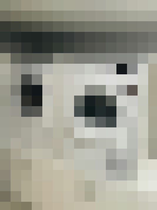 Image 44